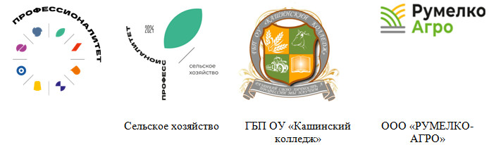 кашин