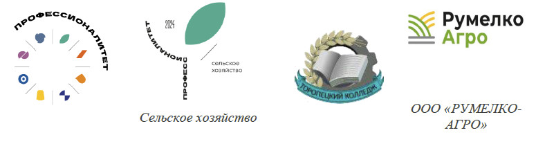 торопец
